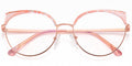 Pattern Pink (3885-5)