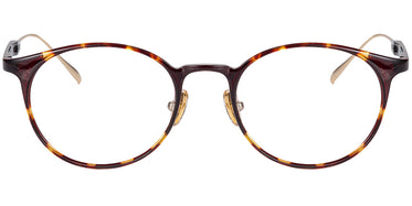 tortoiseshell-1432-2