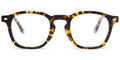 Tortoiseshell (6445-2)