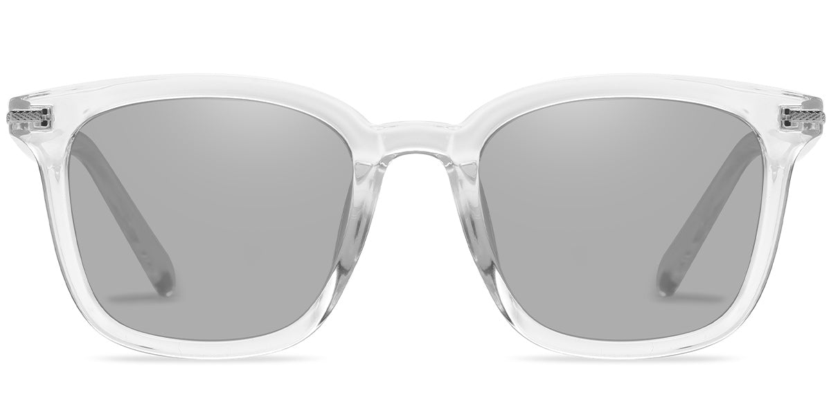 Translucent Light Gray + Light Gray Polarized Lenses (SG4941-3)