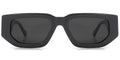 Gray + Dark Gray Polarized Lenses (SG6131-4)