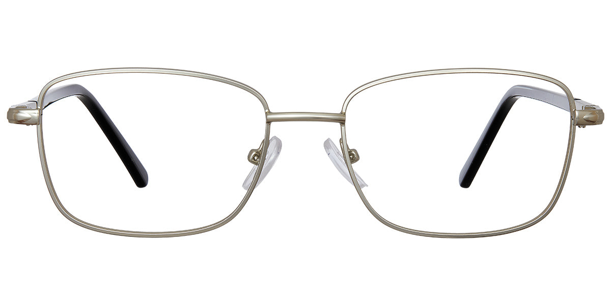 Silver (6690-4)