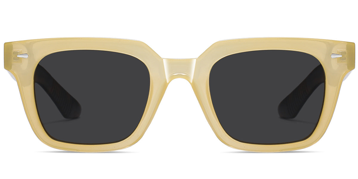 Brown + Dark Gray Polarized Lenses (SG6028-2)