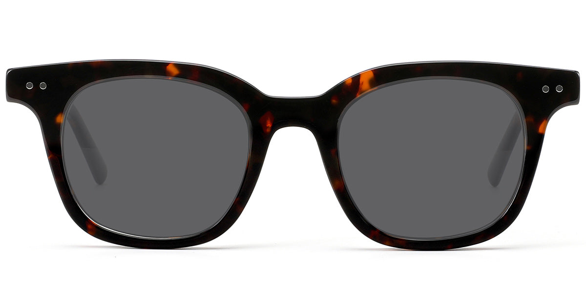 Tortoiseshell + Dark Gray Polarized Lenses (SG6115-2)