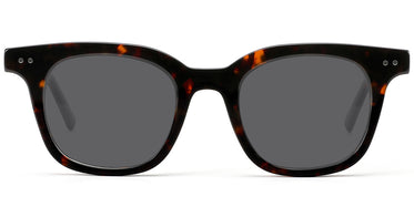 tortoiseshell-dark-gray-polarized-lenses-sg6115-2