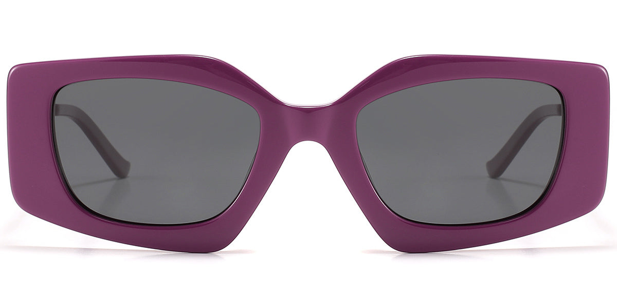 Purple + Dark Gray Polarized Lenses (SG6137-3)