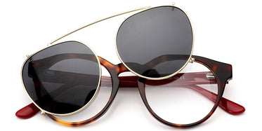 tortoiseshell-6622-2