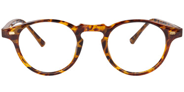 tortoiseshell-1446-2