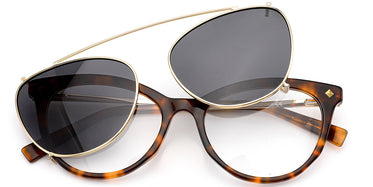 tortoiseshell-6831-3