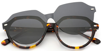 Tortoiseshell (6293-2)