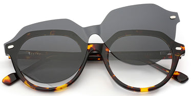 tortoiseshell-6293-2