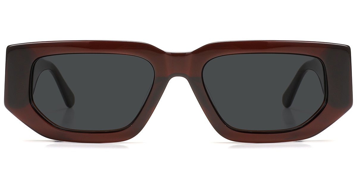 Brown + Dark Gray Polarized Lenses (SG6131-3)