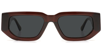 Brown + Dark Gray Polarized Lenses (SG6131-3)