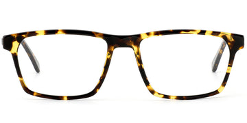 Tortoiseshell (6959-2)