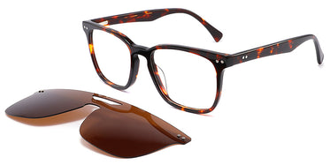 tortoiseshell-2571-1