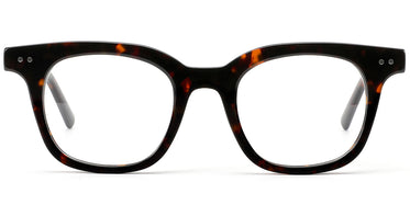 tortoiseshell-6114-2