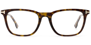 Tortoiseshell (6955-2)