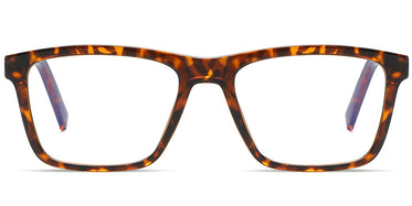 tortoiseshell-3347-2