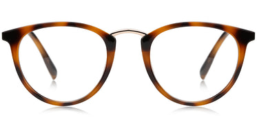 tortoiseshell-7624-4