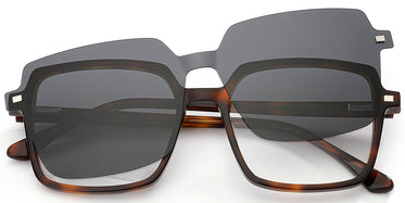 tortoiseshell-6297-2