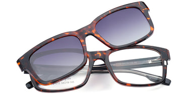 tortoiseshell-7617-3