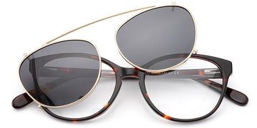 Tortoiseshell (6924-1)