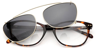 tortoiseshell-6616-1