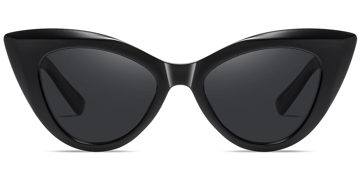Black + Dark Gray Polarized Lenses (SG6171-1)