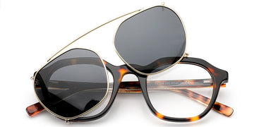 Tortoiseshell (6572-1)