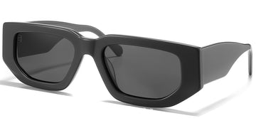 Gray + Dark Gray Polarized Lenses (SG6131-4)