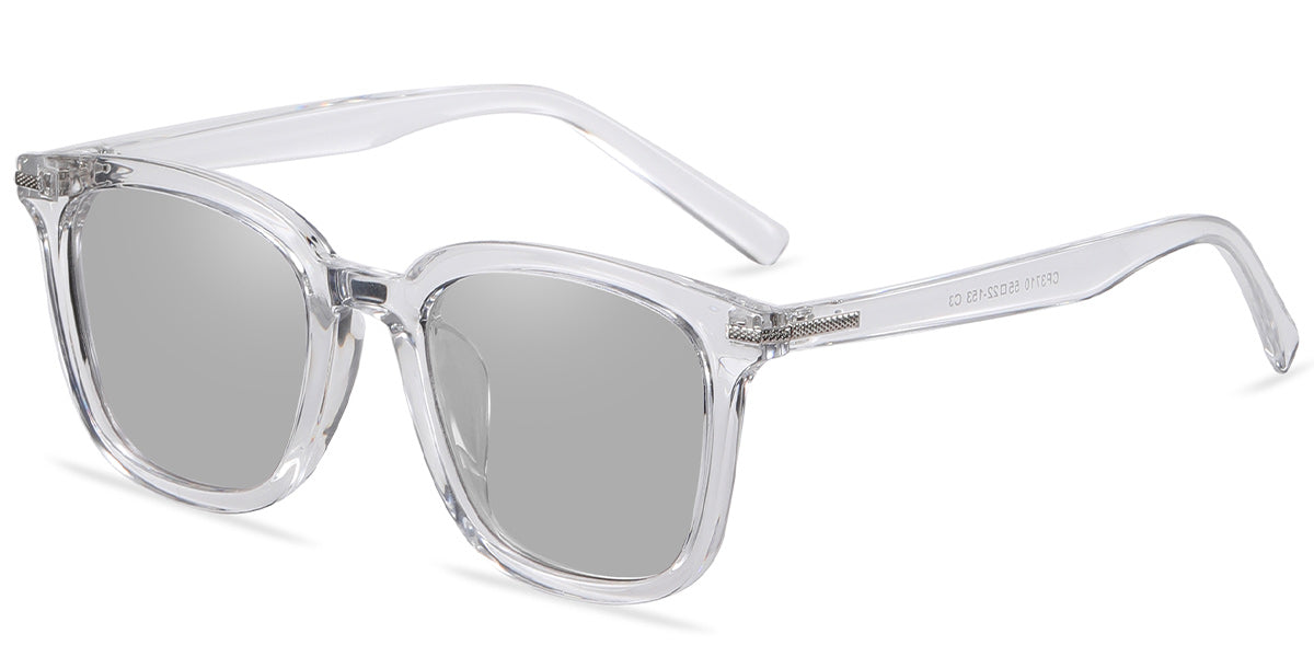 Translucent Light Gray + Light Gray Polarized Lenses (SG4941-3)