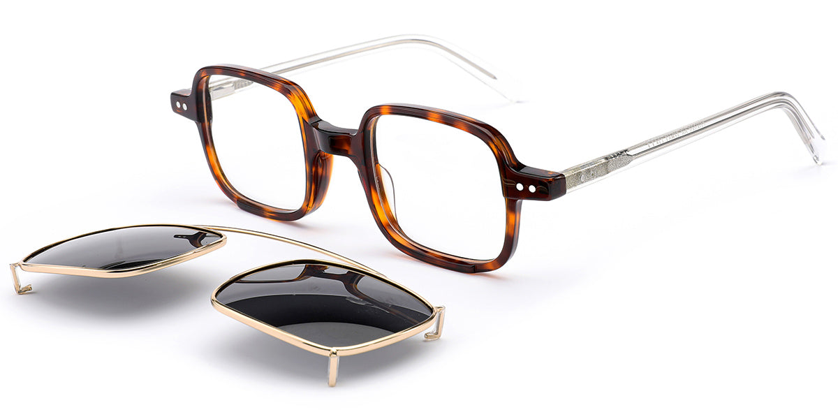 Tortoiseshell (6329-3)