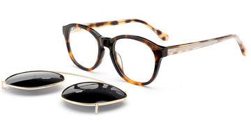 Tortoiseshell (6577-3)