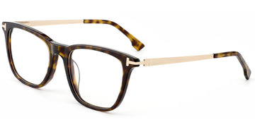 Tortoiseshell (6955-2)