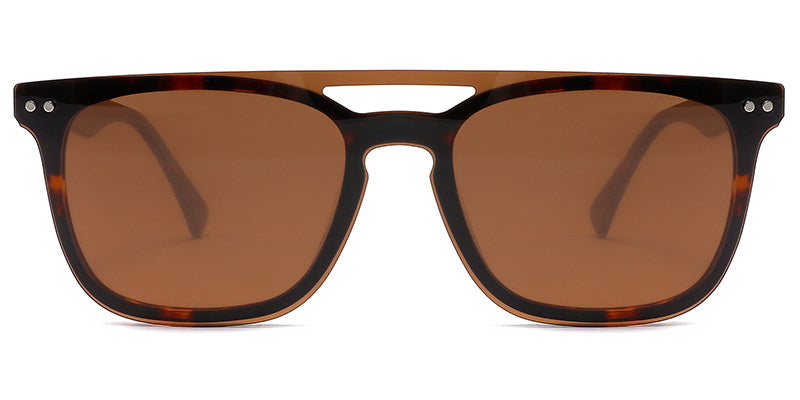 Tortoiseshell (2571-1)