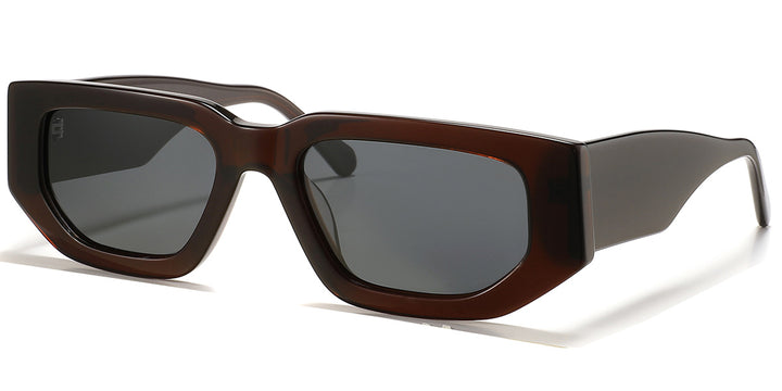 Brown + Dark Gray Polarized Lenses (SG6131-3)