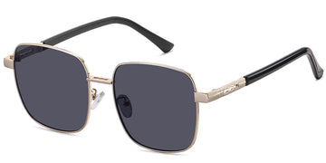 Gold + Dark Gray Polarized Lenses (SG5000-2)