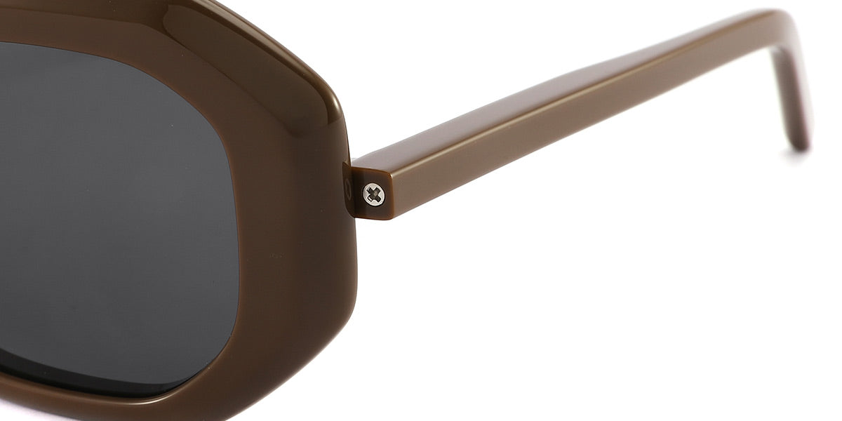 Brown + Dark Gray Polarized Lenses (SG4307-2)