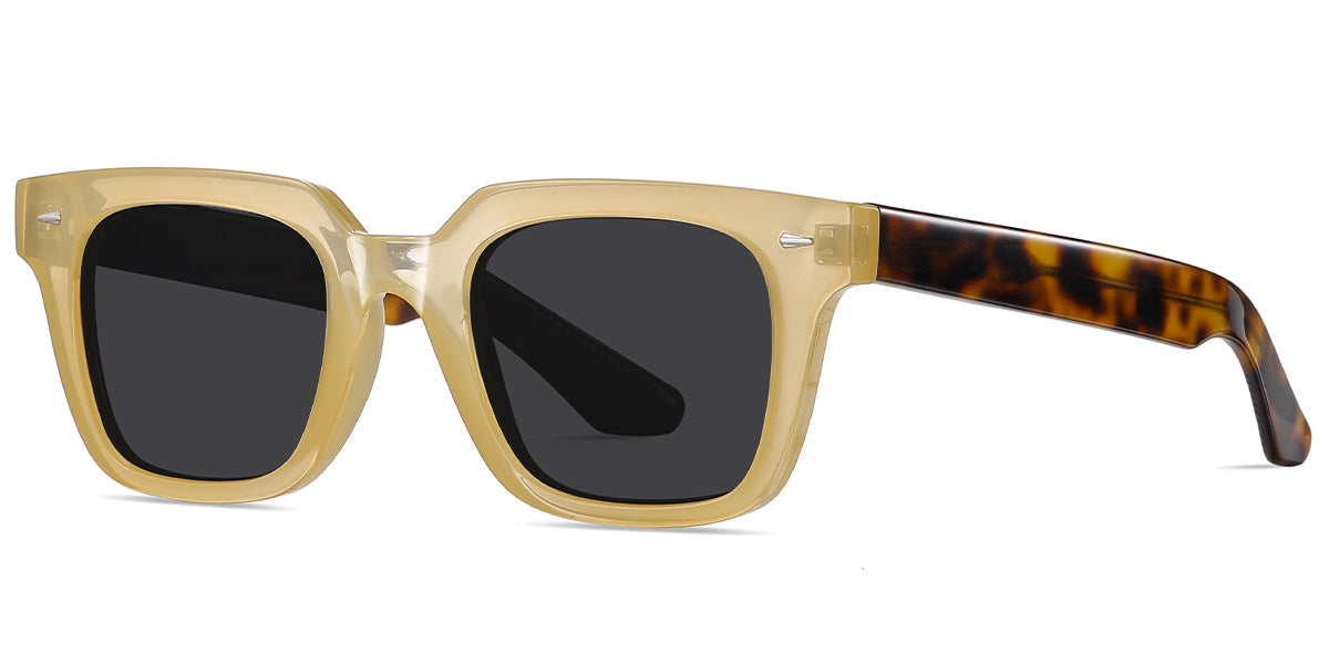 Brown + Dark Gray Polarized Lenses (SG6028-2)