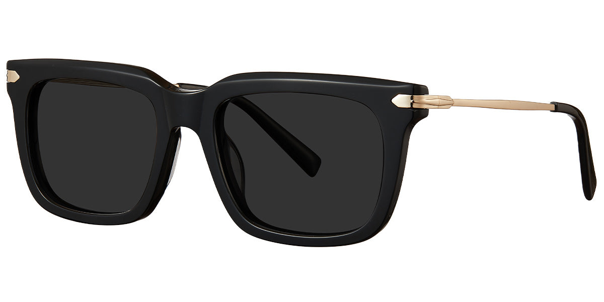 Black + Dark Gray Polarized Lenses (SG5396-1)