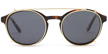 Tortoiseshell (6573-1)