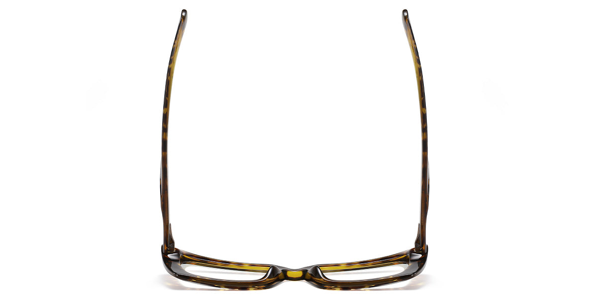 Tortoiseshell (5377-3)