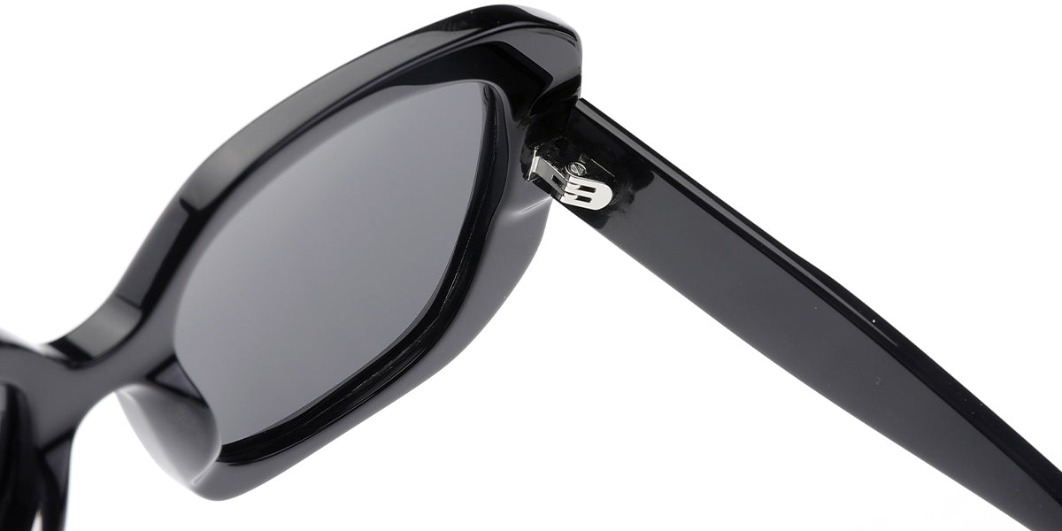 Black + Dark Gray Polarized Lenses (SG4916-1)