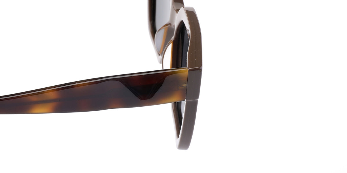 Coffee + Dark Gray Polarized Lenses (SG4914-4)