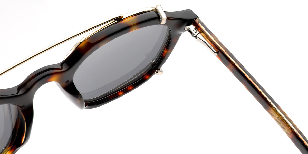 Tortoiseshell (6572-1)