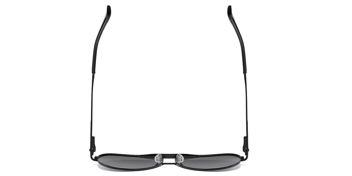 Black + Dark Gray Polarized Lenses (SG4352-1)