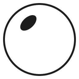 1.56 Bifocal (Round top)